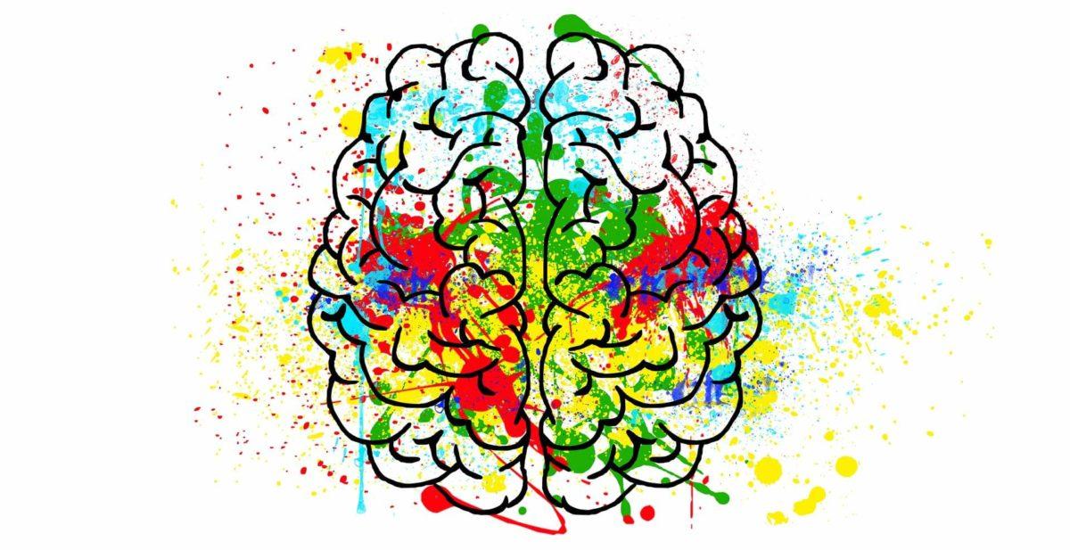 cerveau cerveau hypersensible