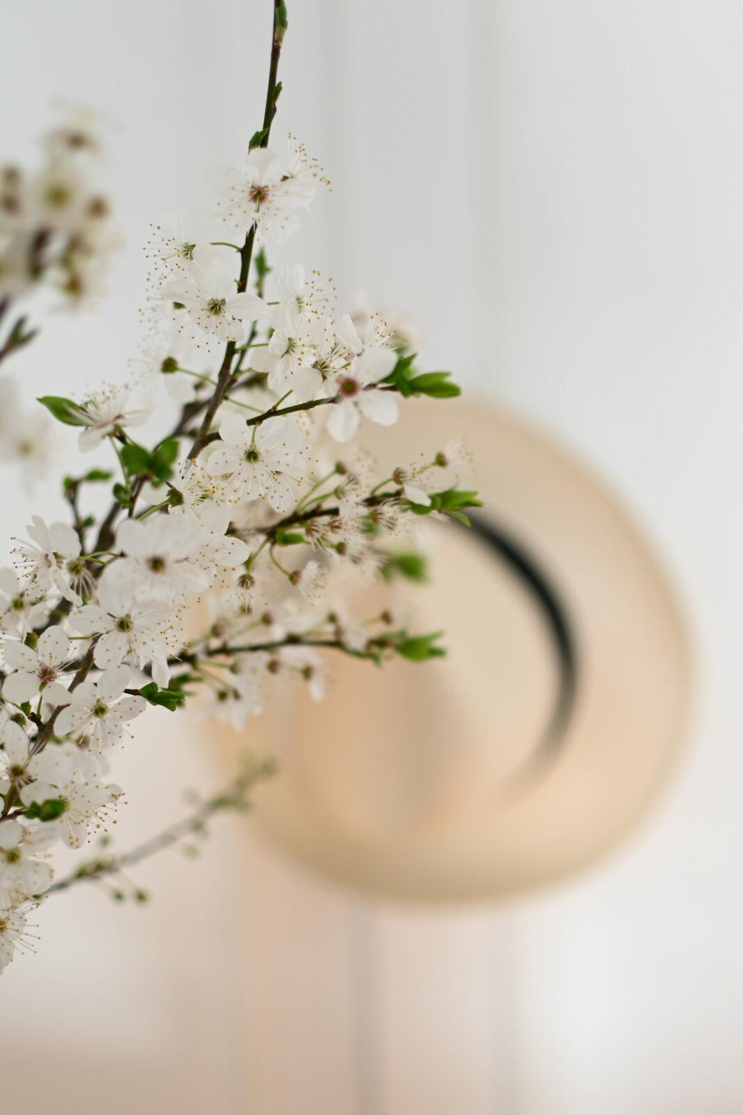 veronique desrues - accueil Vero Desrues