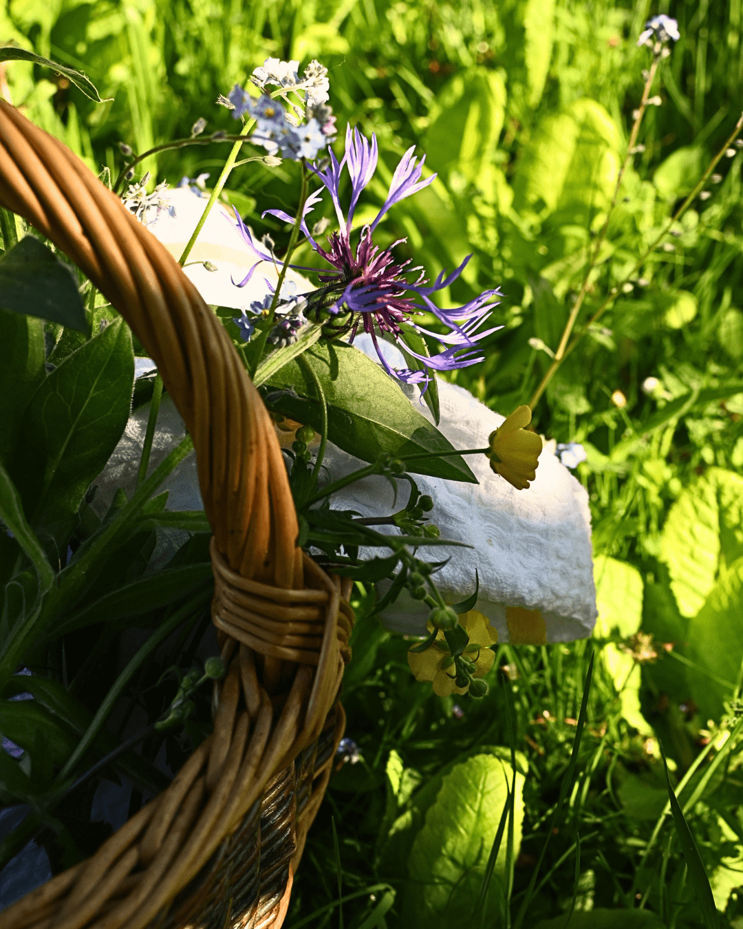 photo chapeau olivier saison